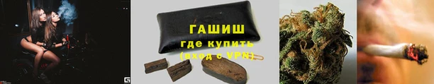 эйфоретик Баксан