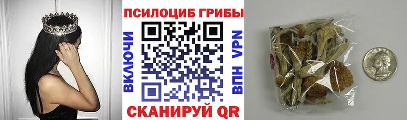 как найти наркотики  Борисоглебск  Псилоцибиновые грибы ЛСД 
